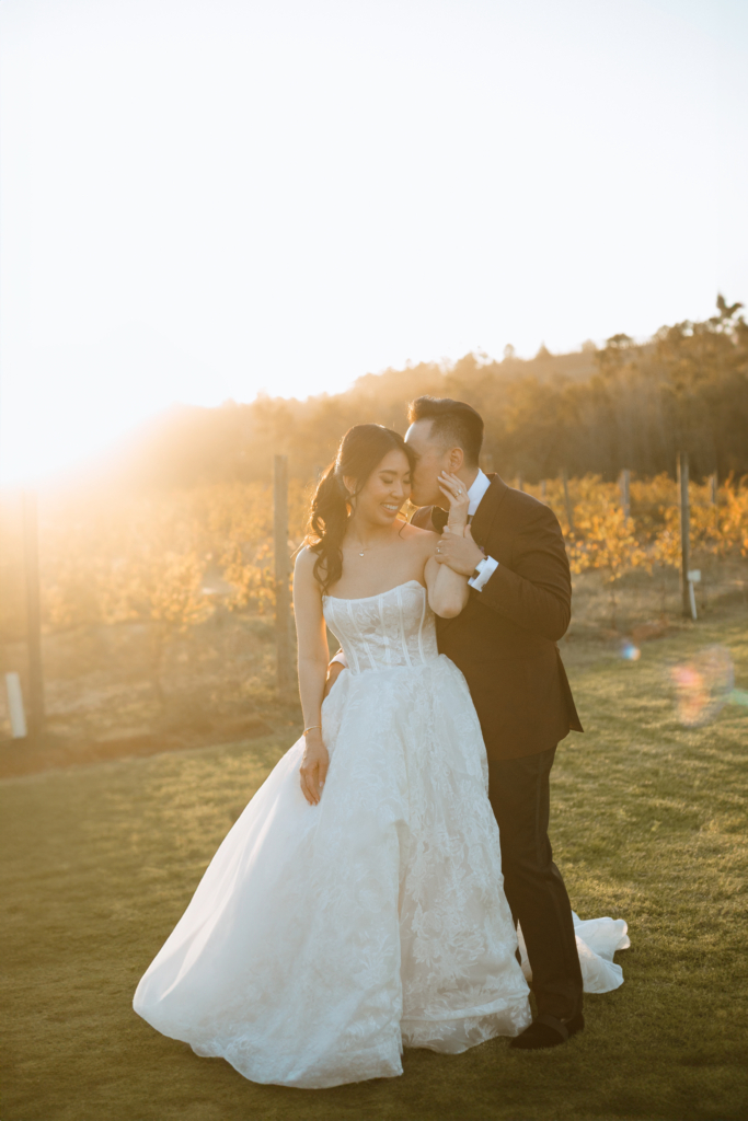 Backlit wedding photograph of a couple in vineyards
