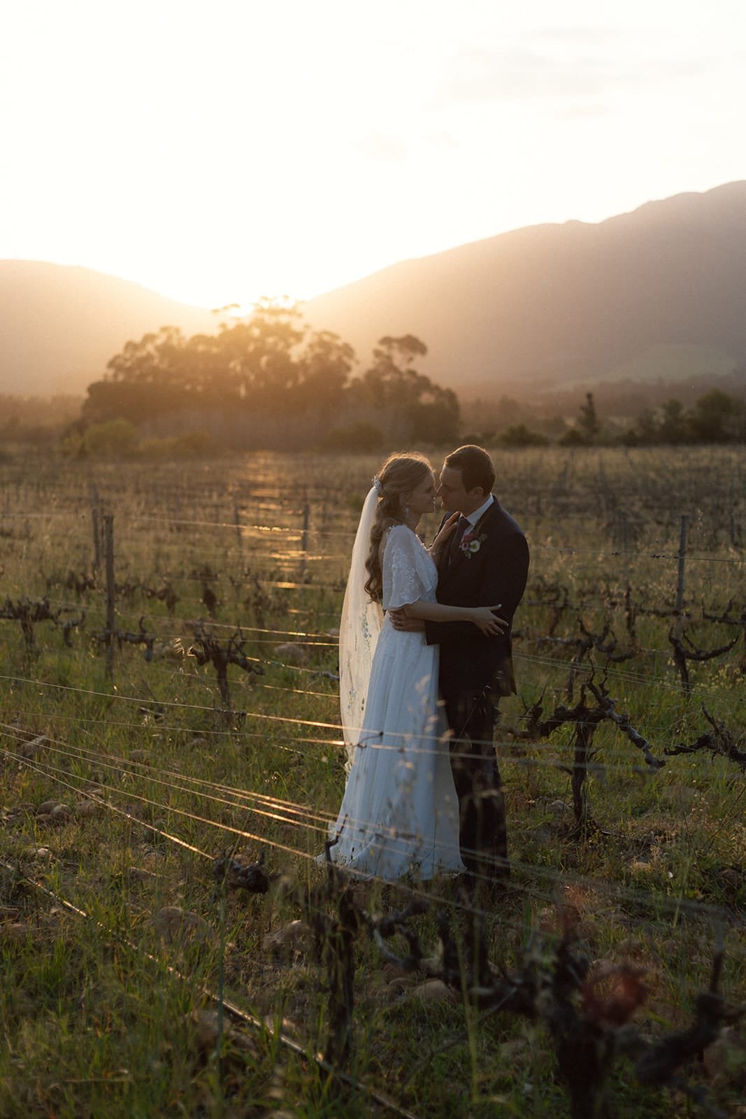 Couple kissing in vineyard at Montpellier.