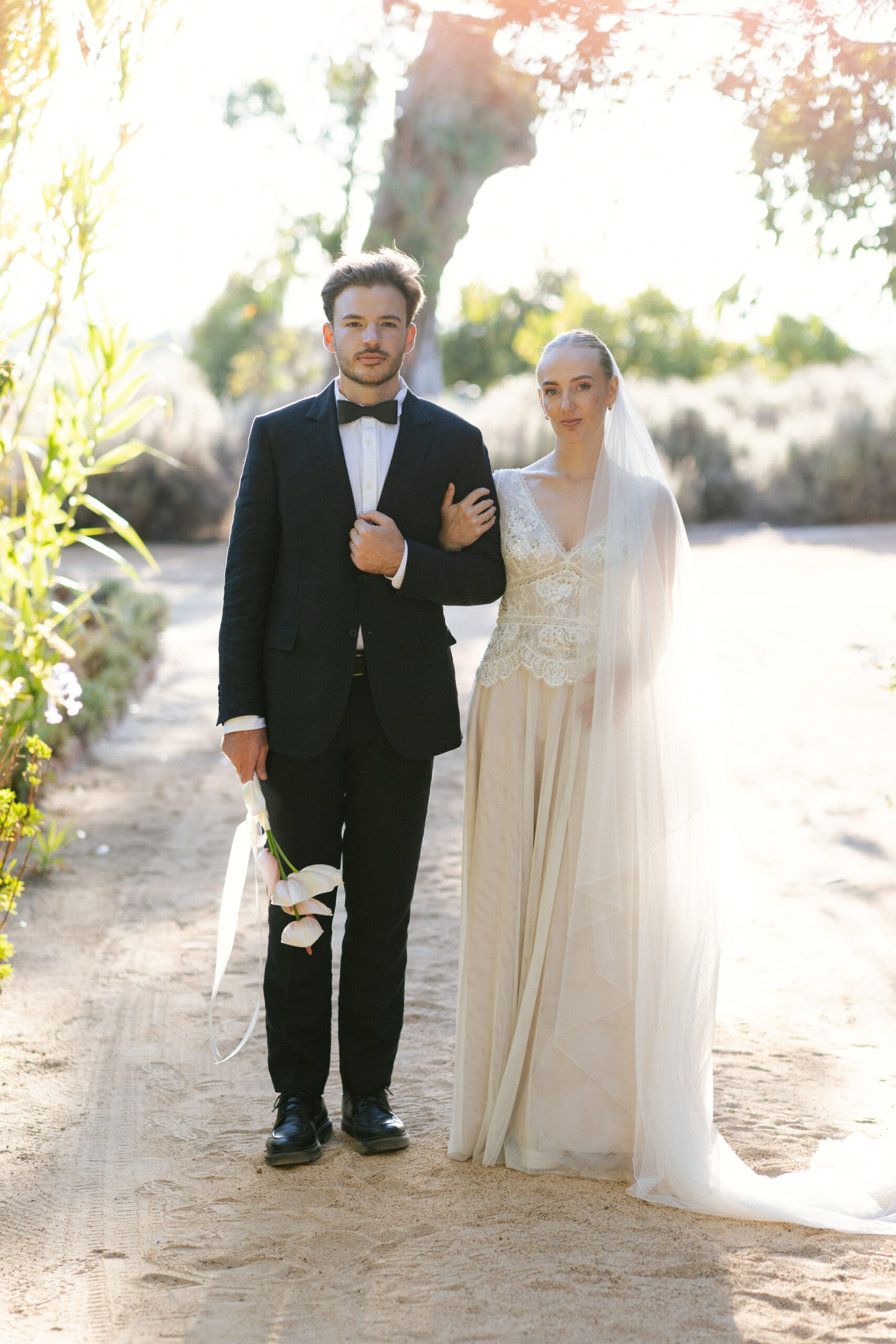 Wedding couple standing with arm linked